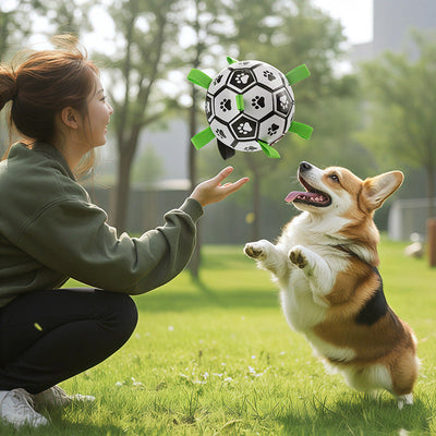 Durable Dog Toy Ball for Chewing and Outdoor Play