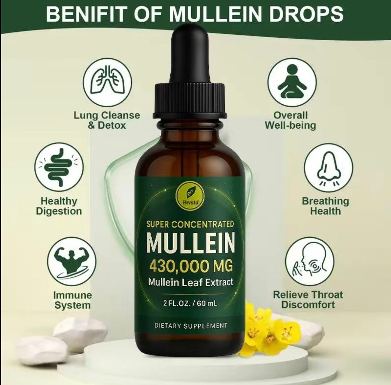 LungEase Mullein Drops - Herbal Respiratory Support