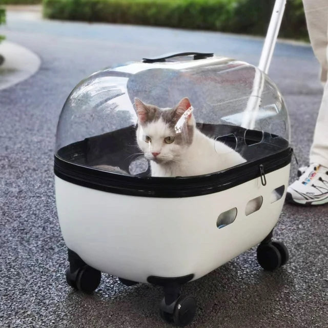 Transporteur de voyage en capsule transparente pour animaux de compagnie