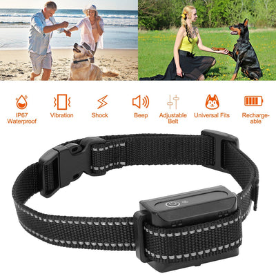 GBruno Premium Dog Training Collar Receiver
