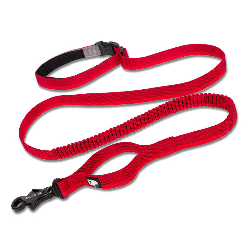 Pet dog leash with elastic cushioning suitable for outdoor activities such as running and waist tying - Korvel