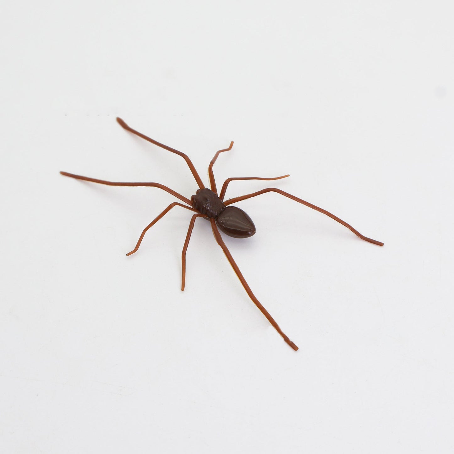 Plastic Spider as Decoration - Novelty Ornament - Korvel