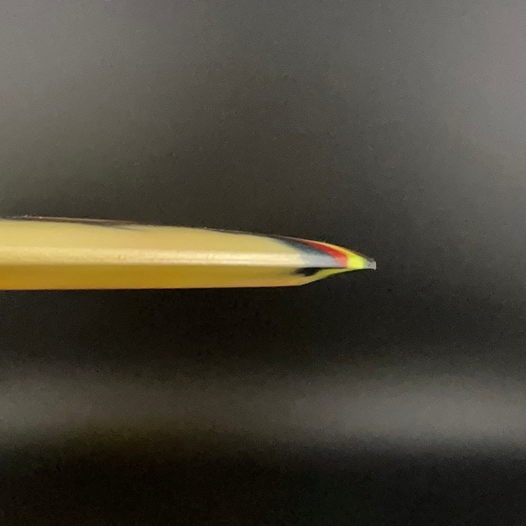 I-Dye Champion Boss - David Wiggins Jr World Record Disc