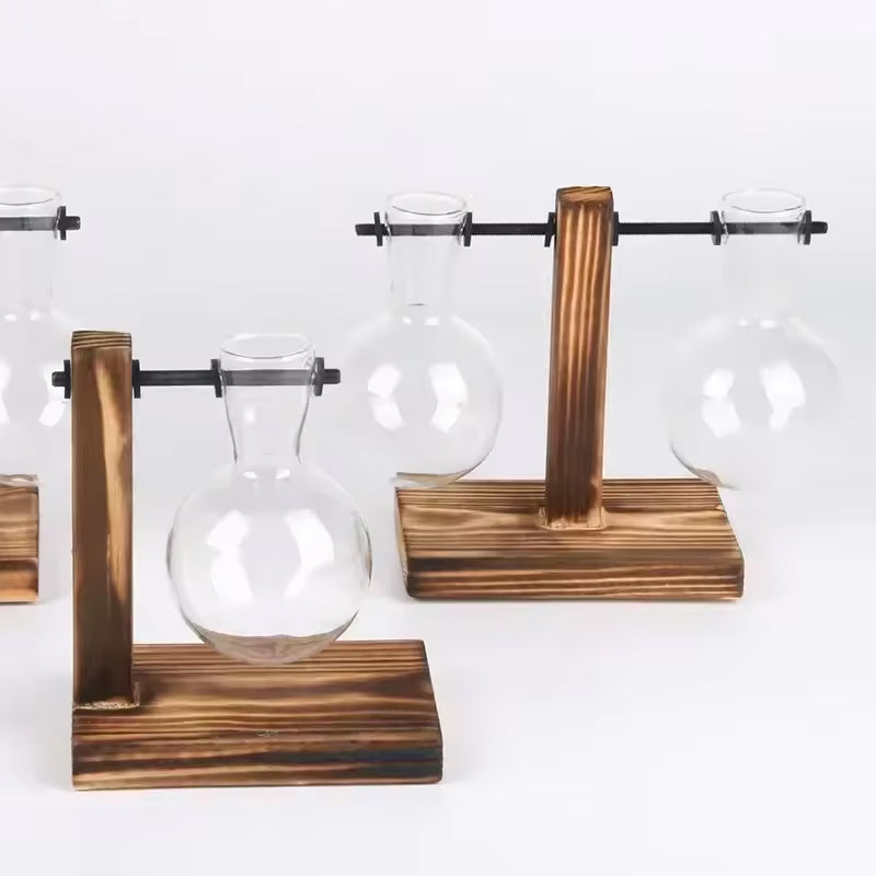 Transparent Bulb Vase with Wood Stand. For hydroponics. Great for coffee shops & room decor. - Korvel
