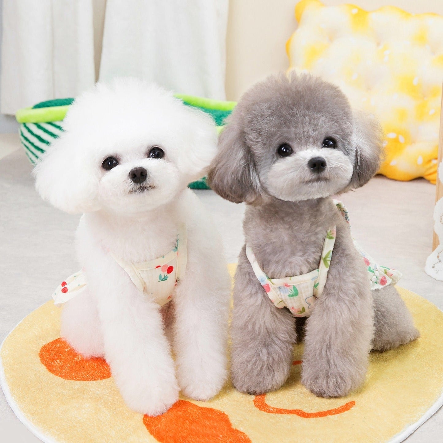 Puppy costume Teddy Schnauzer peach heart gauze skirt - Korvel