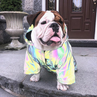 Windproof and Rainproof North Dog Face Dog Large Dog Raincoat Dog Pet Stormtrooper Coat - Korvel