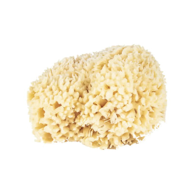 The Sponge Company Natural Bathing Sea Sponge #5 Super