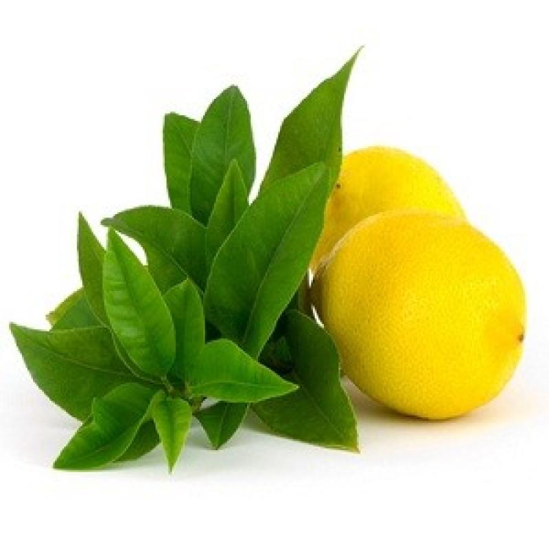 Lemon Verbena Soy Candle – Fresh & Citrusy Scent | Mam Jam’s - Korvel