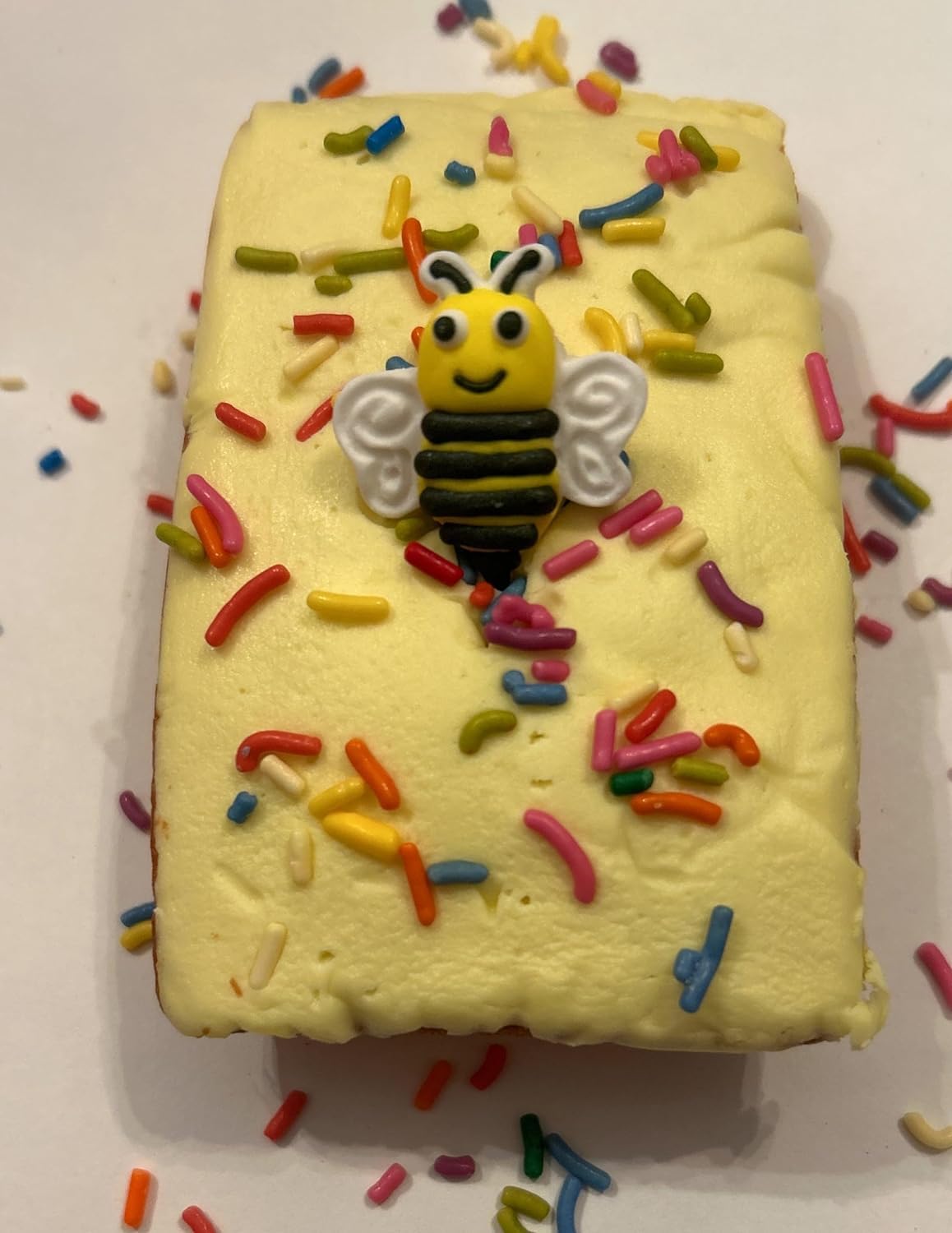 Oasis Supply 24 Count Lady Bugs & Bumble Bee Cake Decorations