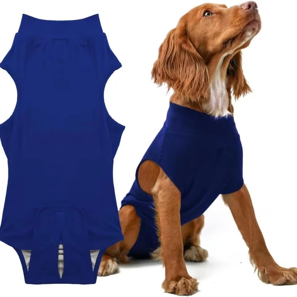 Pet sterilization suit wound anti licking suit suitable for all body types of dogs surgical recovery clothing set - Korvel