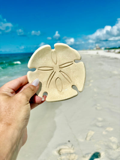 Coastal Charm Ceramic Ring Dish - Sand Dollar Design - Korvel