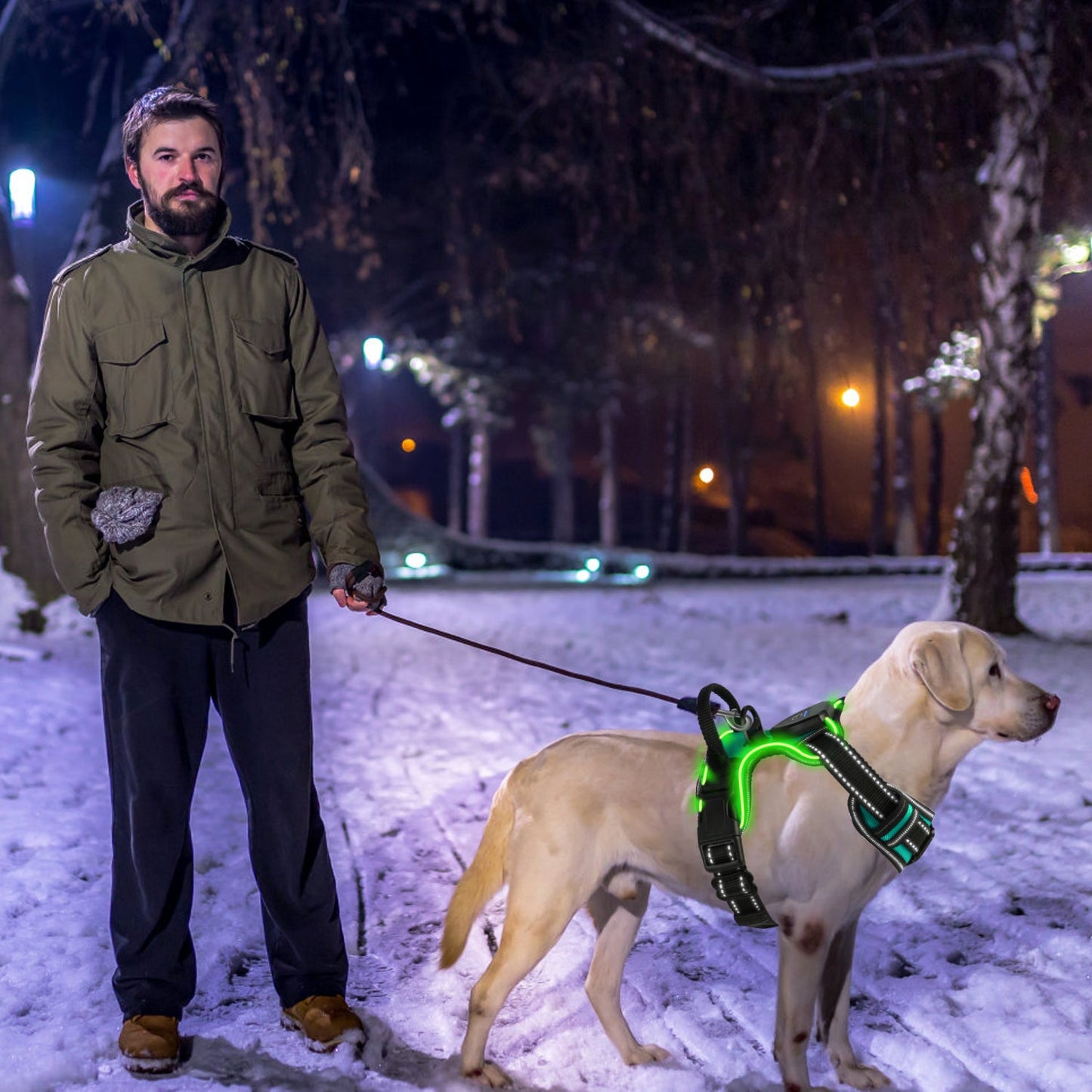 LED Light Up Dog Harness for Enhanced Safety