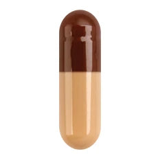 Capsugel Coni-Snap Capsules en gélatine, taille n° 1, 1 000 unités