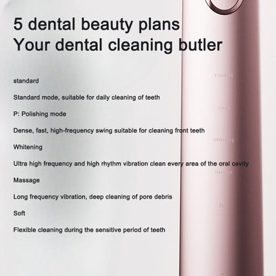 Premium Rechargeable Sonic Electric Toothbrush