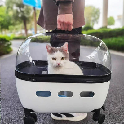 Transparent Capsule Pet Travel Trolley Carrier for Small Pets