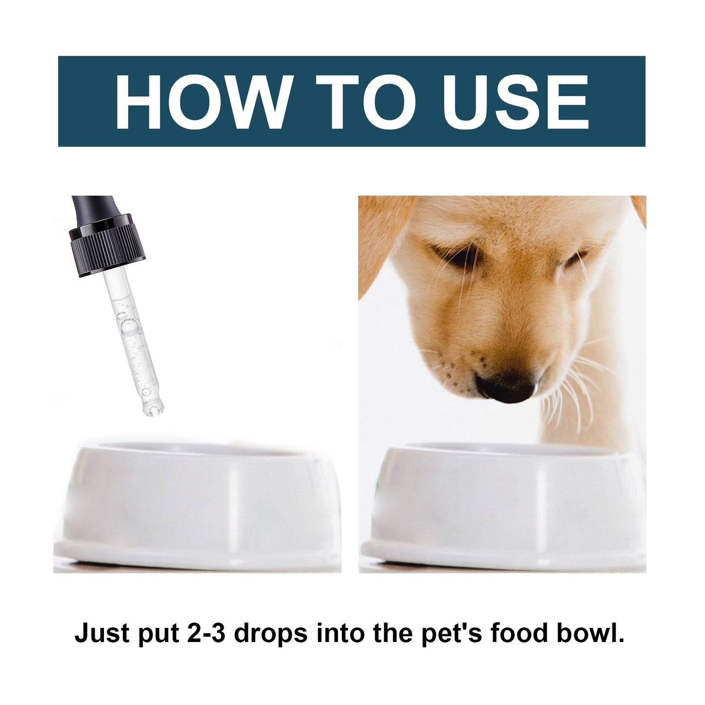 Gouttes de soutien immunitaire premium pour chats et chiens