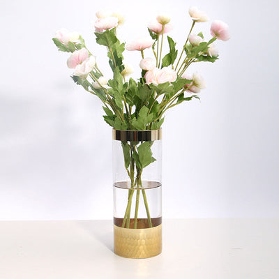Modern Transparent Glass Hydroponic Flower Vase
