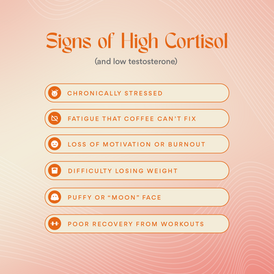 ¿Cortisol, quién? – Suplemento natural para combatir el estrés