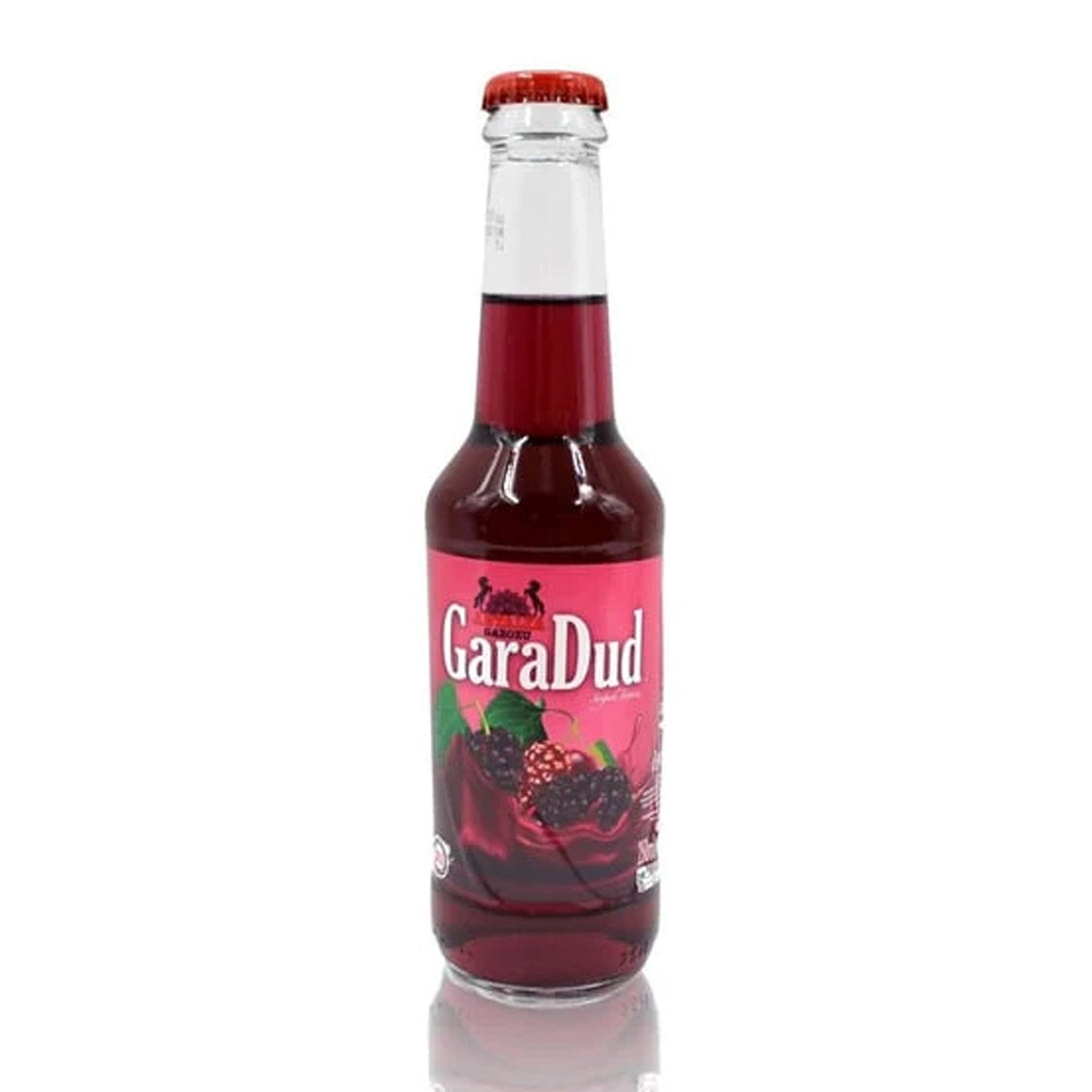 Antalya Garadud Soda 250 ml (8.45 fl oz) – Refreshing Sparkling Drink