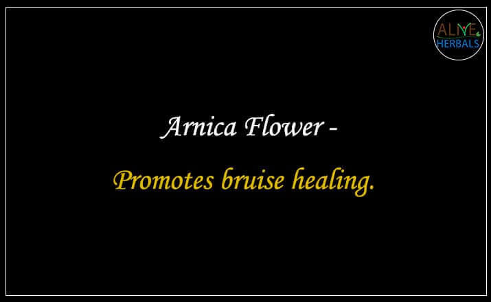 Fleur d'Arnica Premium pour Usage Culinaire