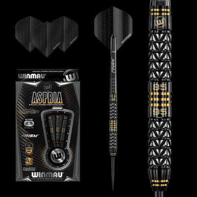 Aspria Dual Core Steel Tip Darts