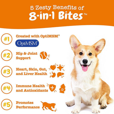 Premium Multi-Functional Nutritional Supplement for Dogs