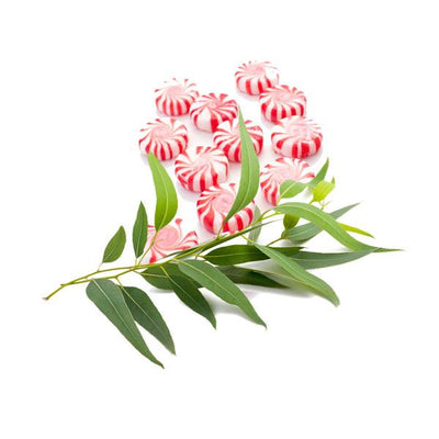 Peppermint & Eucalyptus Soy Candle – Refreshing & Invigorating Scent | Mam Jam’s - Korvel