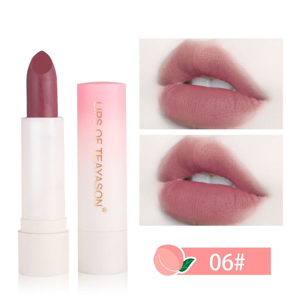 Matte Velvet Retro Red Peach Lipstick