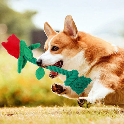 Dog Toy Rose Flower Plush Durable Biting Tooth Cleaning Cotton Rope Knot Crinkle Sound Self-Entertainment Interactive Pet Product - Korvel