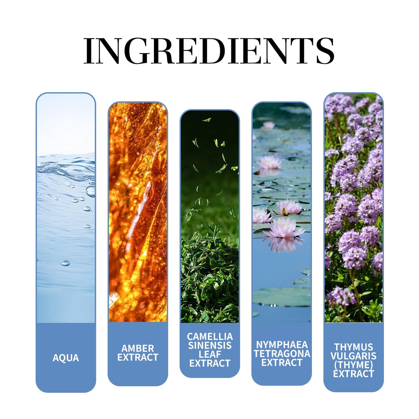 Magnet Charming Men Perfume, Tea Fragrance Natural Fresh Fragrance Release Charm Couple Dating Men Atmosphere Niche Perfume - Korvel