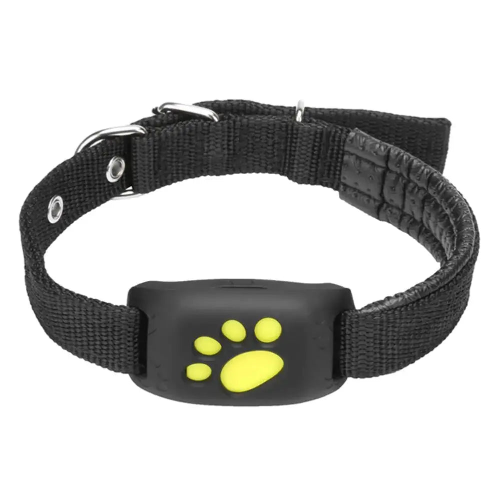 Collier de suivi GPS pour animaux de compagnie Premium