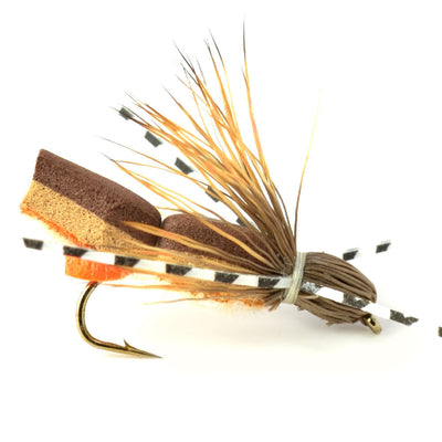 Ultimate Foam Hopper Fly Fishing Set - 12 Premium Flies with Box - Korvel