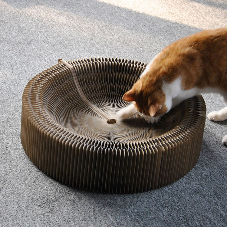 Planche à gratter créative en accordéon pour chat