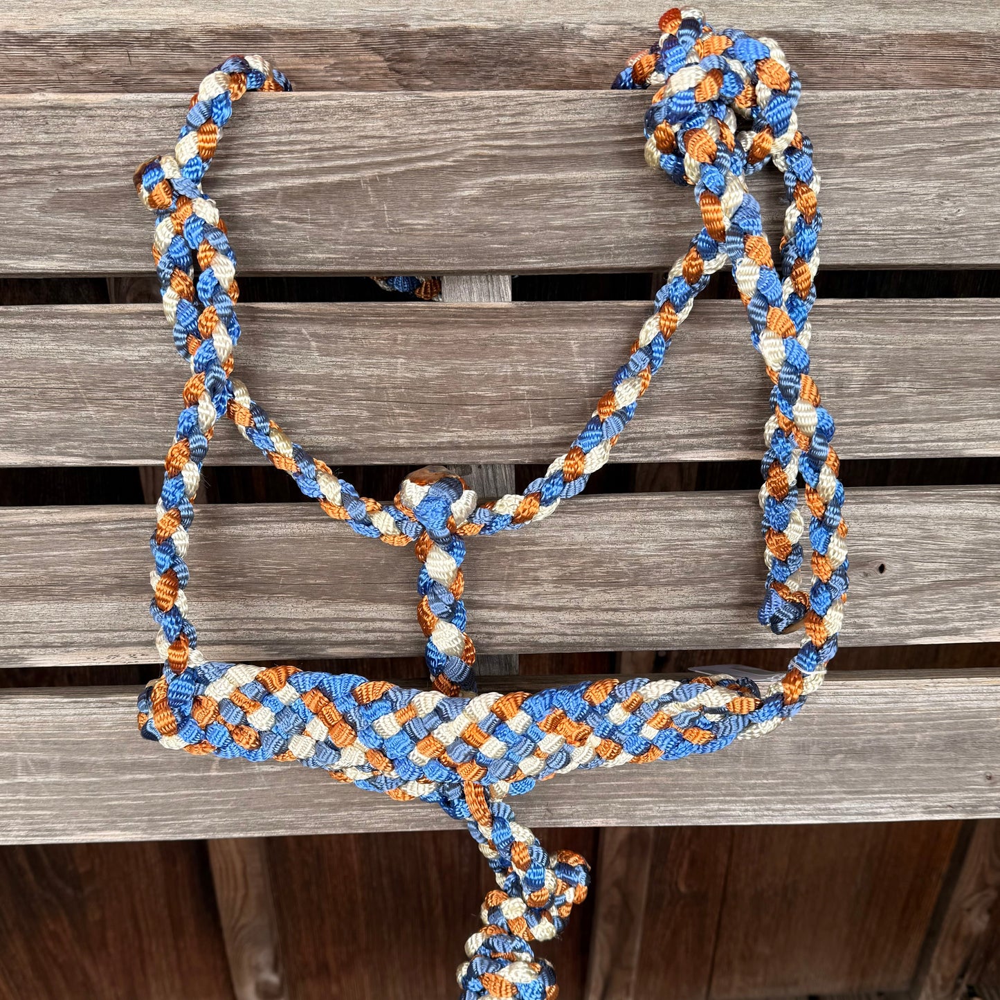 Halter LMB con Correa Desmontable