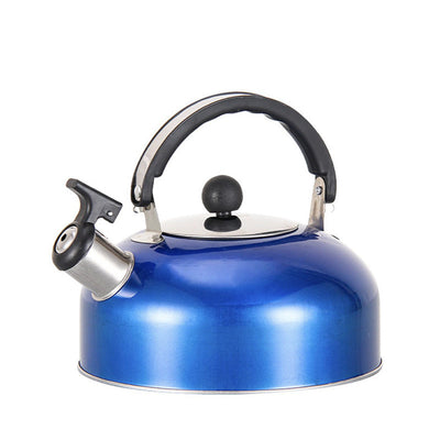 A 3L stainless - steel kettle for gas heating. It features a whistle and a comfortable handle, suitable for cooking and tea. - Korvel