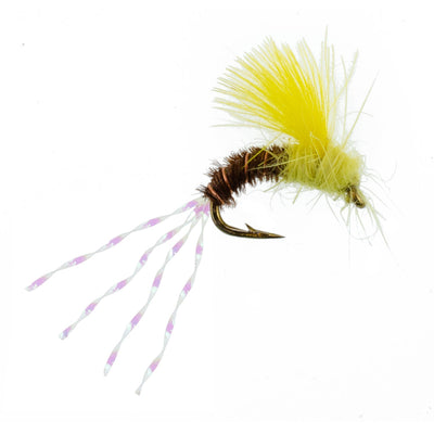 Pack de 3 mouches noyées CDC Pale Morning Dun Emerger - Taille 16