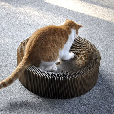 Planche à gratter créative en accordéon pour chat