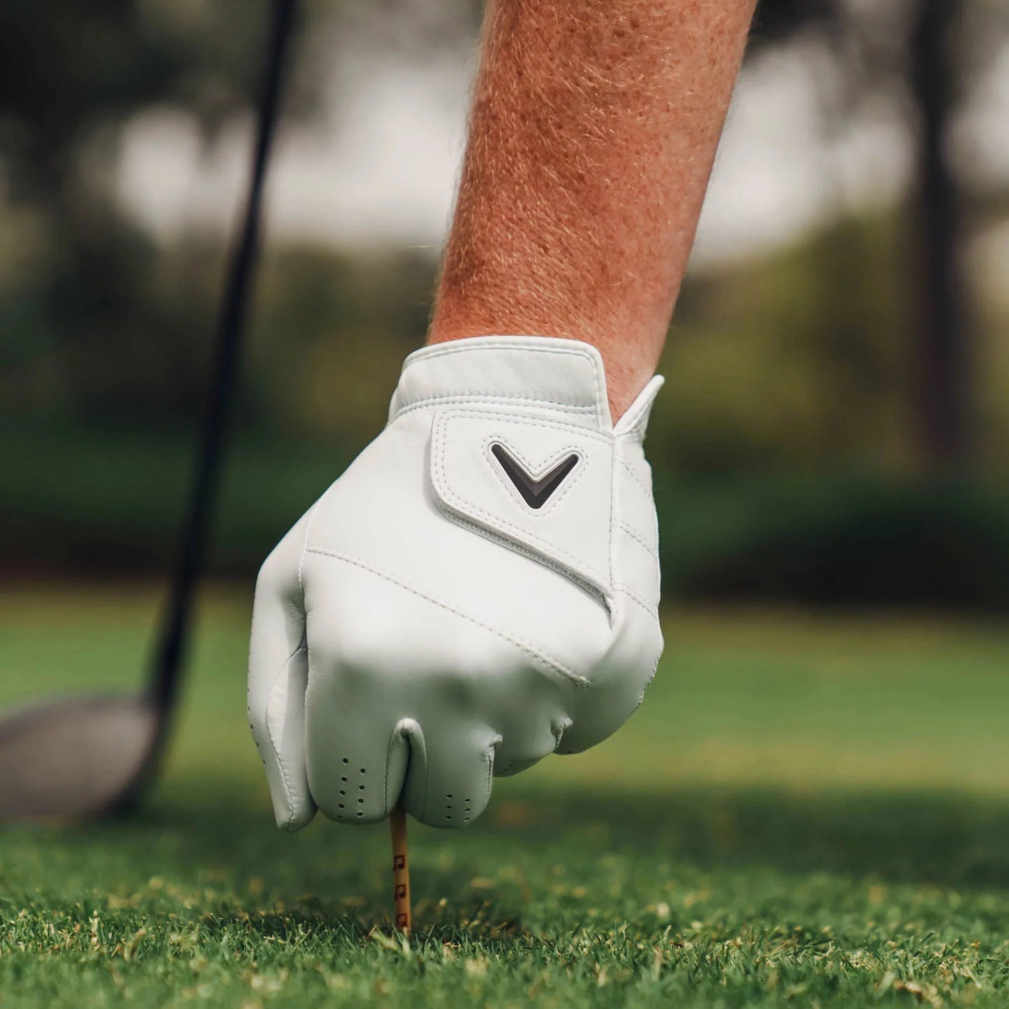 Guante de golf Callaway Tour 2025 Authentic