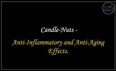 Premium Candle Nuts - Versatile Culinary Delight