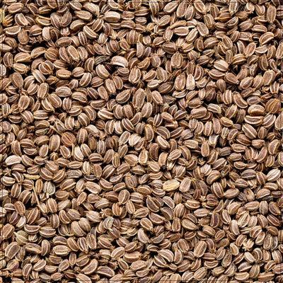 Semillas de Apio Premium para Delicias Culinarias