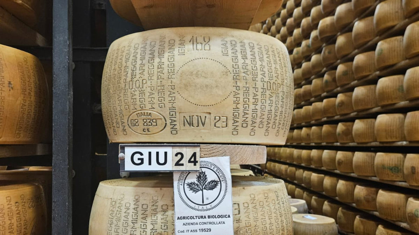 Rueda de Parmigiano Reggiano Auténtico | Aged 26+ Months | ~85 Pounds