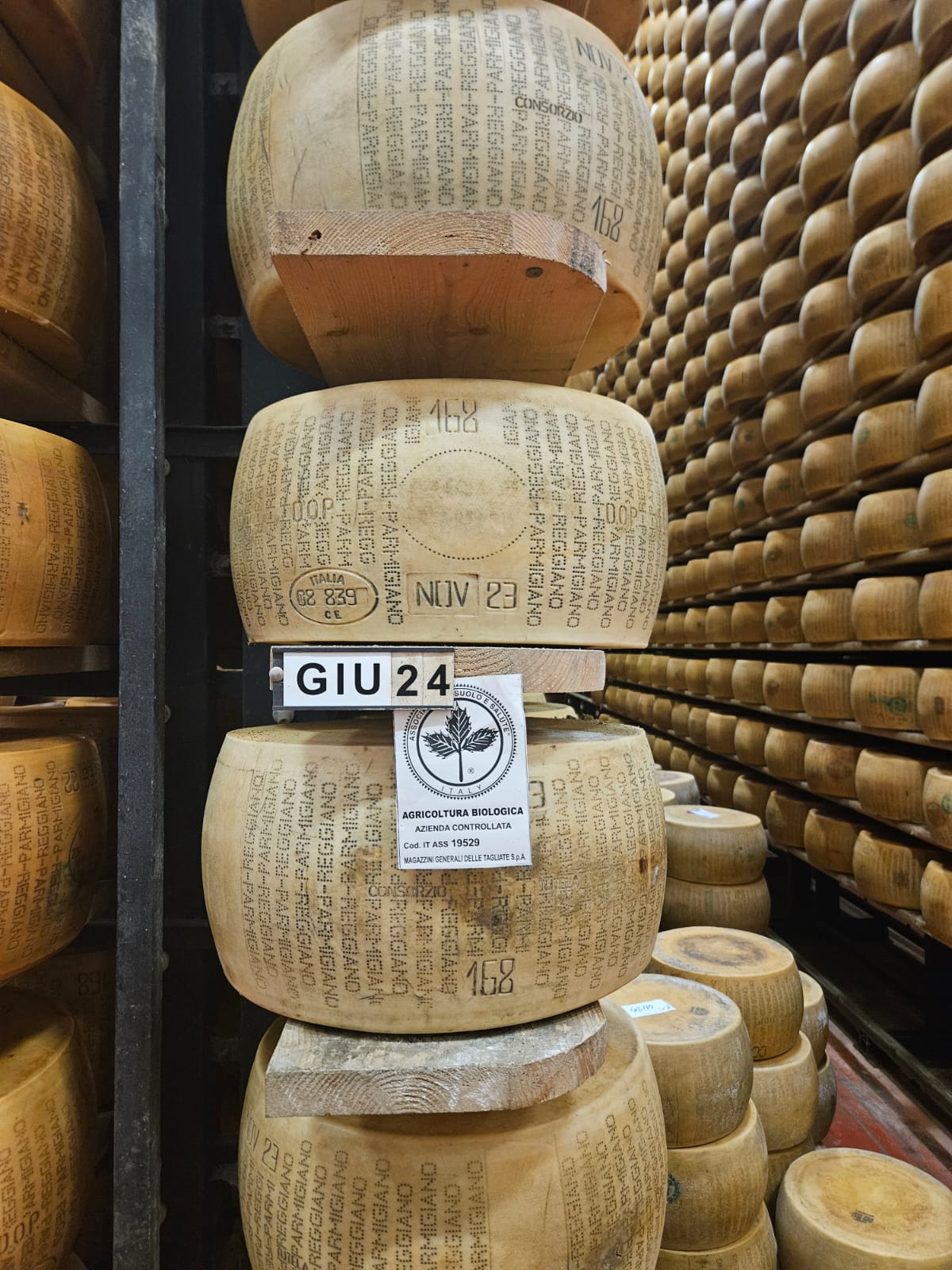 Parmigiano Reggiano Rallado a Granel | Paquete de 3 bolsas de 2lb
