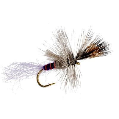 3 Pack Purple Haze Cripple Mayfly Hook Size 16 - Korvel