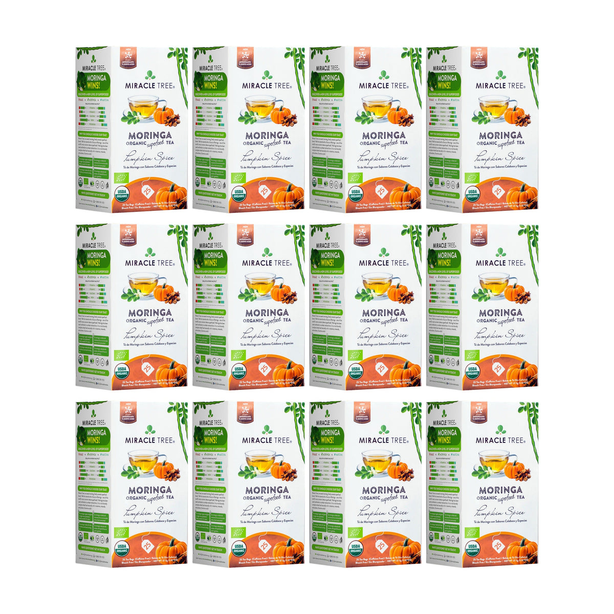 Thé Moringa Bio avec Épices de Citrouille