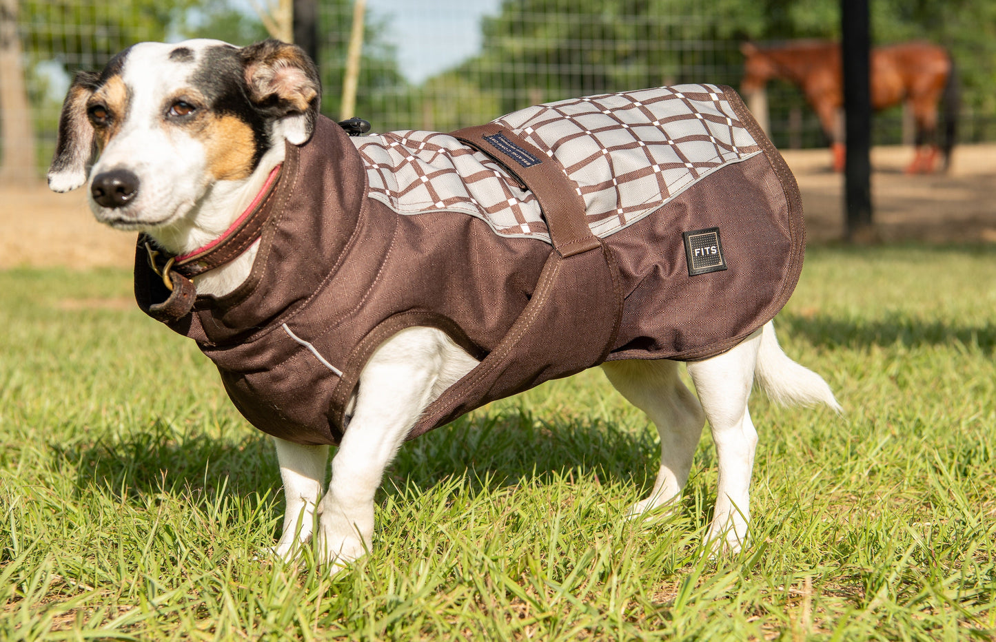 Premium All Weather Dog Coat for All Breeds