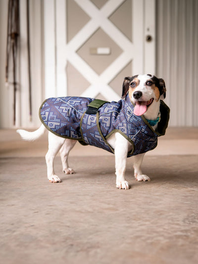Premium All Weather Dog Coat for All Breeds