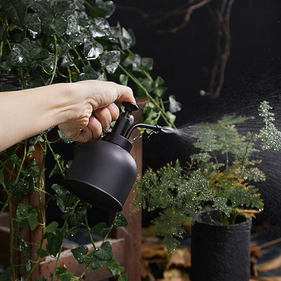 Modern Sprout Plant Mister - Elegant Spray Bottle for Indoor Plants