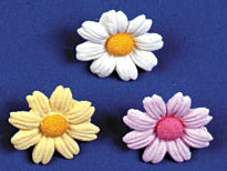 Marguerites Roses - Moyennes - 180 pcs