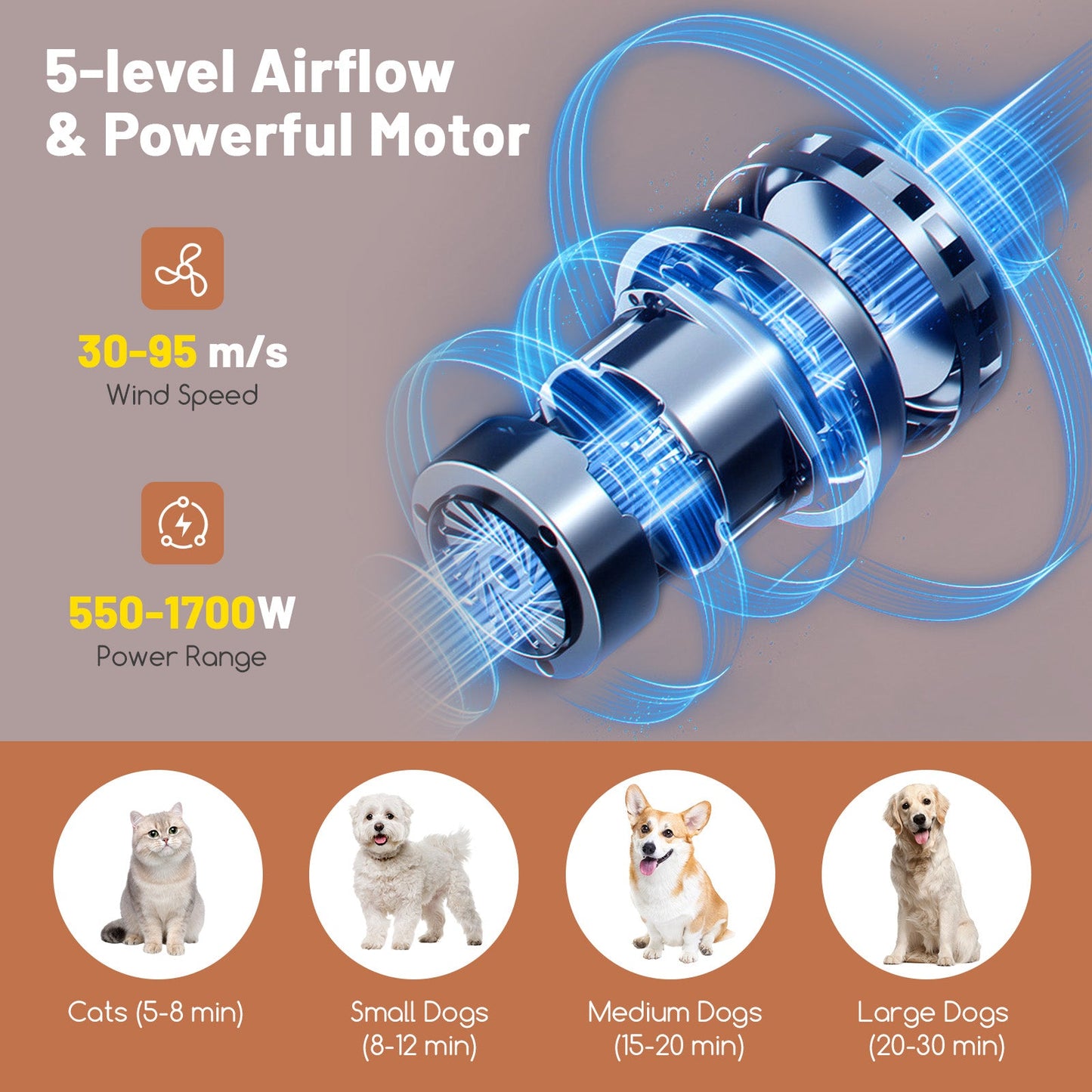 Secador de Pelo Premium para Perros y Gatos con Temperatura Ajustable