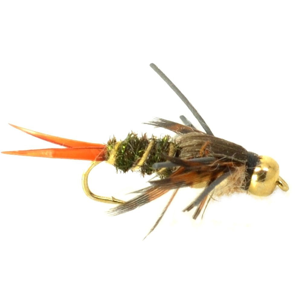 Essential Double Bead Nymph Fly Set - 10 Premium Wet Flies - 5 Unique Patterns - Size 14 Hooks - Korvel